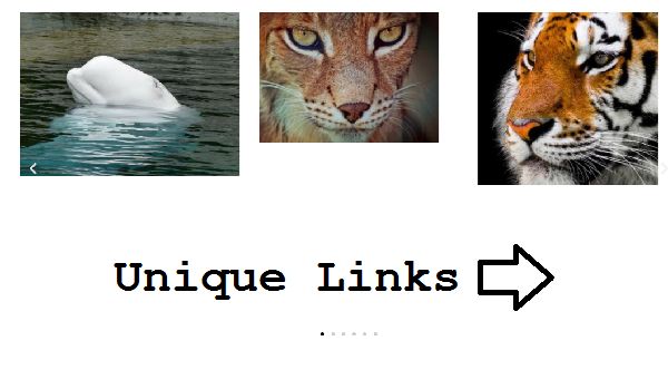 Elementor Image Carousel Links - Custom Link for Each Image