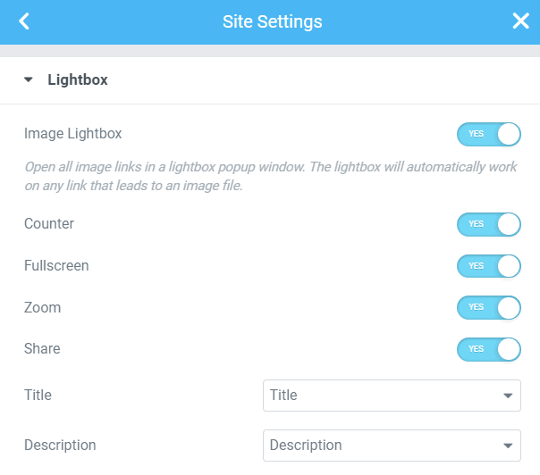 Add HTML To The Elementor Lightbox Captions (Links, Bold, ..) 2