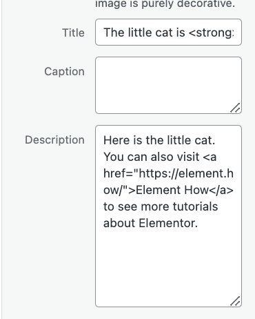 Add HTML To The Elementor Lightbox Captions (Links, Bold, ..) 3